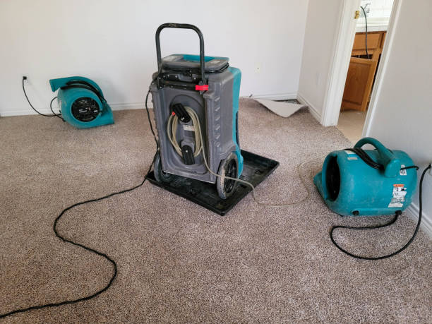 Best Professional water damage repair  in Prineville, OR