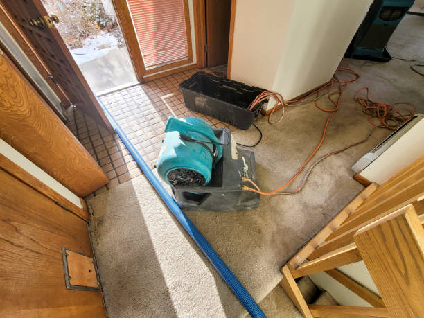 Best Mold removal after water damage  in Prineville, OR